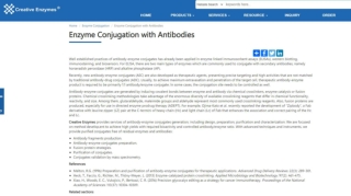 Enzyme Conjugation with Antibodies