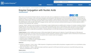 Enzyme Conjugation with Nucleic Acids