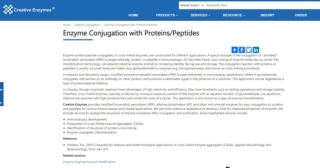 Enzyme Conjugation with Proteins