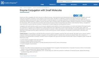 Enzyme Conjugation with Small Molecules