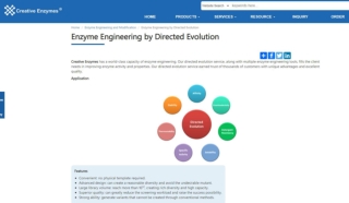 Enzyme Engineering by Directed Evolution