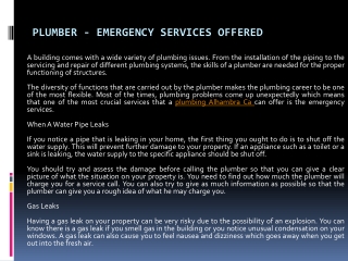 Plumber - Emergency Services Offered