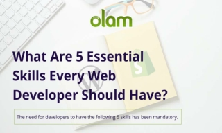 What Are 5 Essential Skills Every Web Developer Should Have?