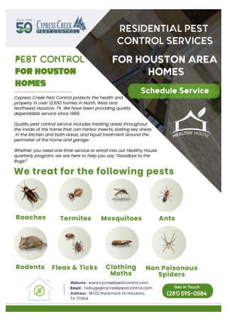 Houston Termite Control | Termite Inspection Houston