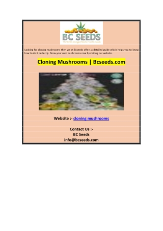 Cloning Mushrooms  Bcseeds.com