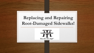 Replacing and Repairing Root-Damaged Sidewalks!