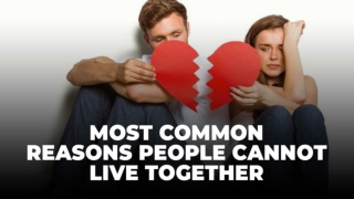 Vidalista 20 mg - Most Common Reasons People Cannot Live Together