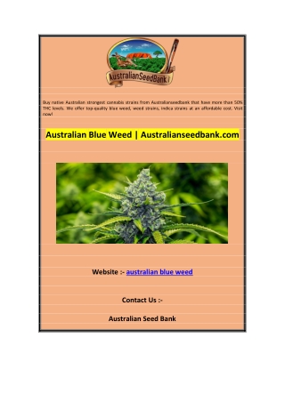 Australian Blue Weed  Australianseedbank.com