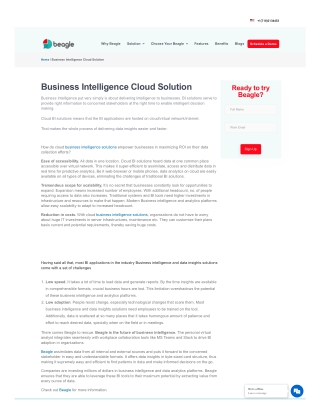 Business Intelligence And Analytics Platforms - Beagle