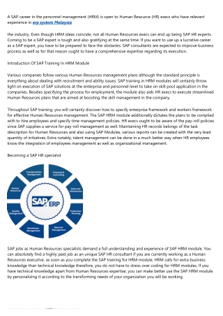 What It Takes to Become a SAP HR Consultant?