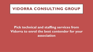 Vidorra Consulting Group