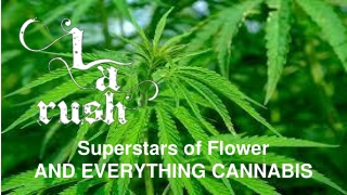 Cannabis Delivery Agoura Hills - LA Rush