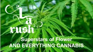 Cannabis Delivery Agoura Hills - LA Rush