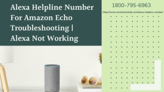 Alexa Stopped Working 1-8007956963 Instant Alexa Helpline Number