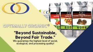 Organic Acerola Cherry Powder