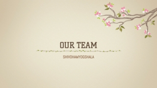 Our team