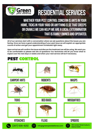 Maine Mosquito Control | Maine Spider Control