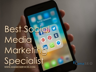 Best Social Media Marketing Specialist - www.anaseoservices.com