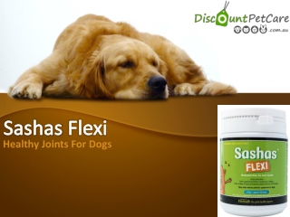 Buy Sasha’s Blend Flexi Bites For Dogs Online - DiscountPetCare
