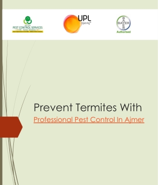 Prevent Termites With 1.pptx