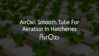Aeration Solutions for Hydroponics-AirOxi Tube