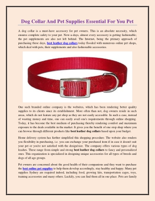 Dog Collar And Pet Supplies Essential For You Pet