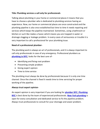 Plumbing services a call only for professionals