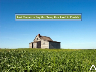 Last Chance to Buy the Cheap Raw Land in Florida