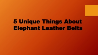 5 Unique Things About Elephant Leather Belts