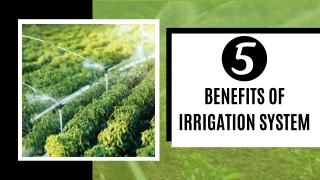 5 Benefits of Irrigation System
