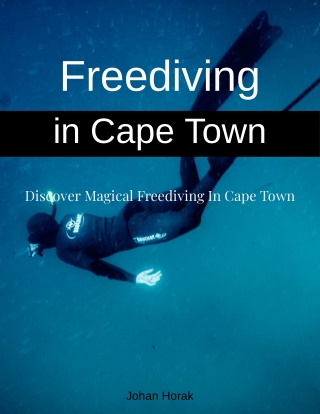 Magical Freediving in Cape Town