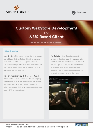 Custom web store development