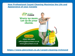 How Professional Carpet Cleaning Maximize the Life