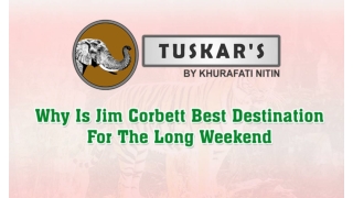 Why Jim Corbett Best Destination For Long Weekend | Best Budget Hotels In Jim Co