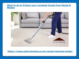 What to do to Protect your Lavished Carpet from Mould