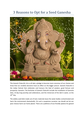 3 Reasons to Opt for a Seed Ganesha