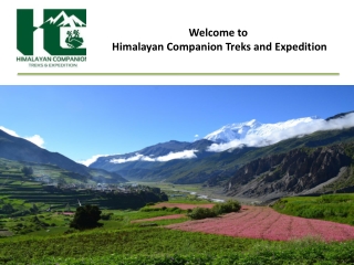 Our trekking company provides tour packages with Himalayas