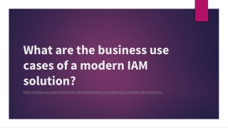 What are the business use cases of a modern IAM solution