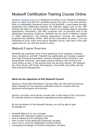 Mulesoft Certification Training Course Online