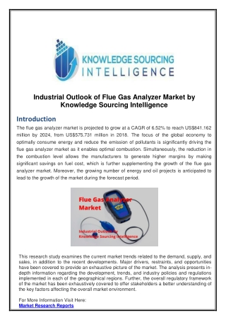 Industrial Outlook of Flue Gas Analyzer Market