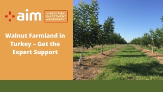 Walnut Farmland in Turkey – Get the Expert Support