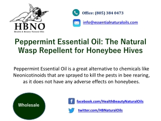 Peppermint Essential Oil The Natural Wasp Repellent for Honeybee Hives
