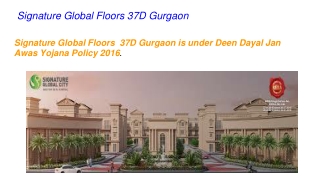 Signature Global Floors 37D Gurgaon
