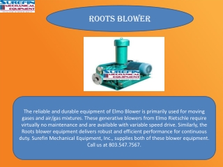 Roots Blower