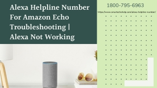 Alexa Has Stopped Working? 1-8007956963 Anytime Alexa Helpline Number