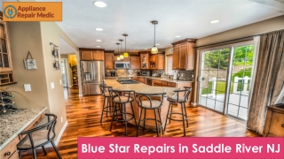 Blue Star Repairs in Saddle River NJ