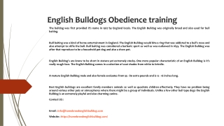 Bulldogs Obedience training