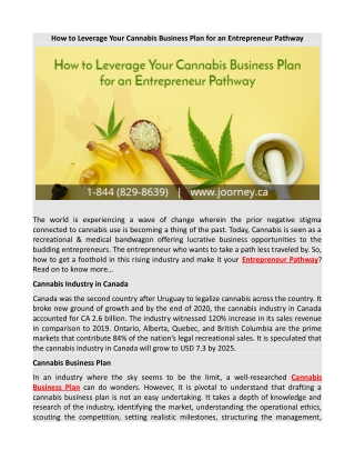 How to Leverage Your Cannabis Business Plan for an Entrepreneur Pathway