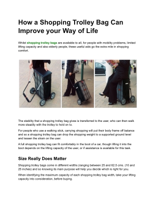 How a Shopping Trolley Bag Can Improve your Way of Life