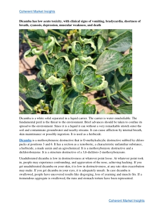 Dicamba